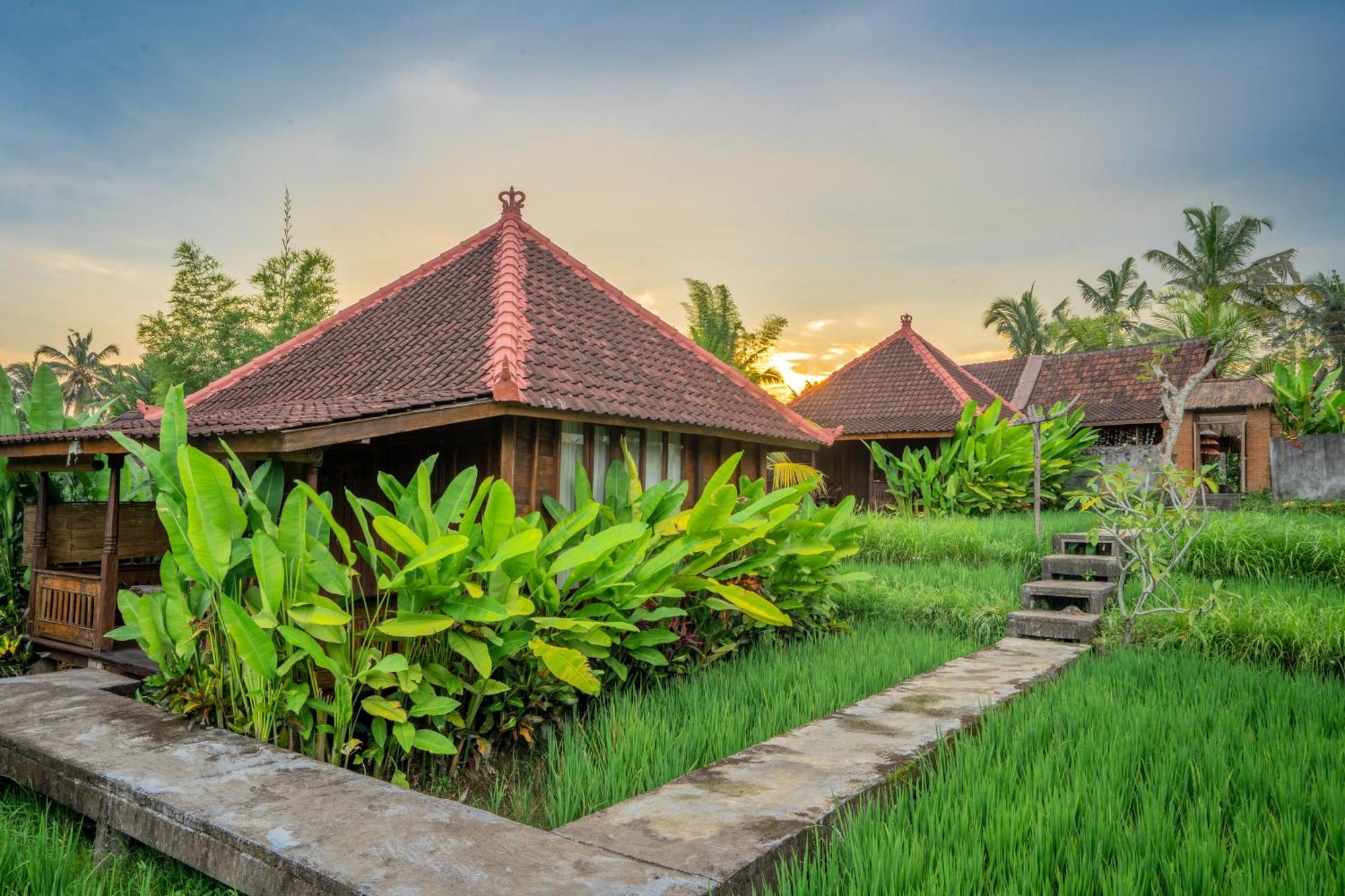 Ubud Sawah Scenery Villa And Homestay Tegallalang  Εξωτερικό φωτογραφία