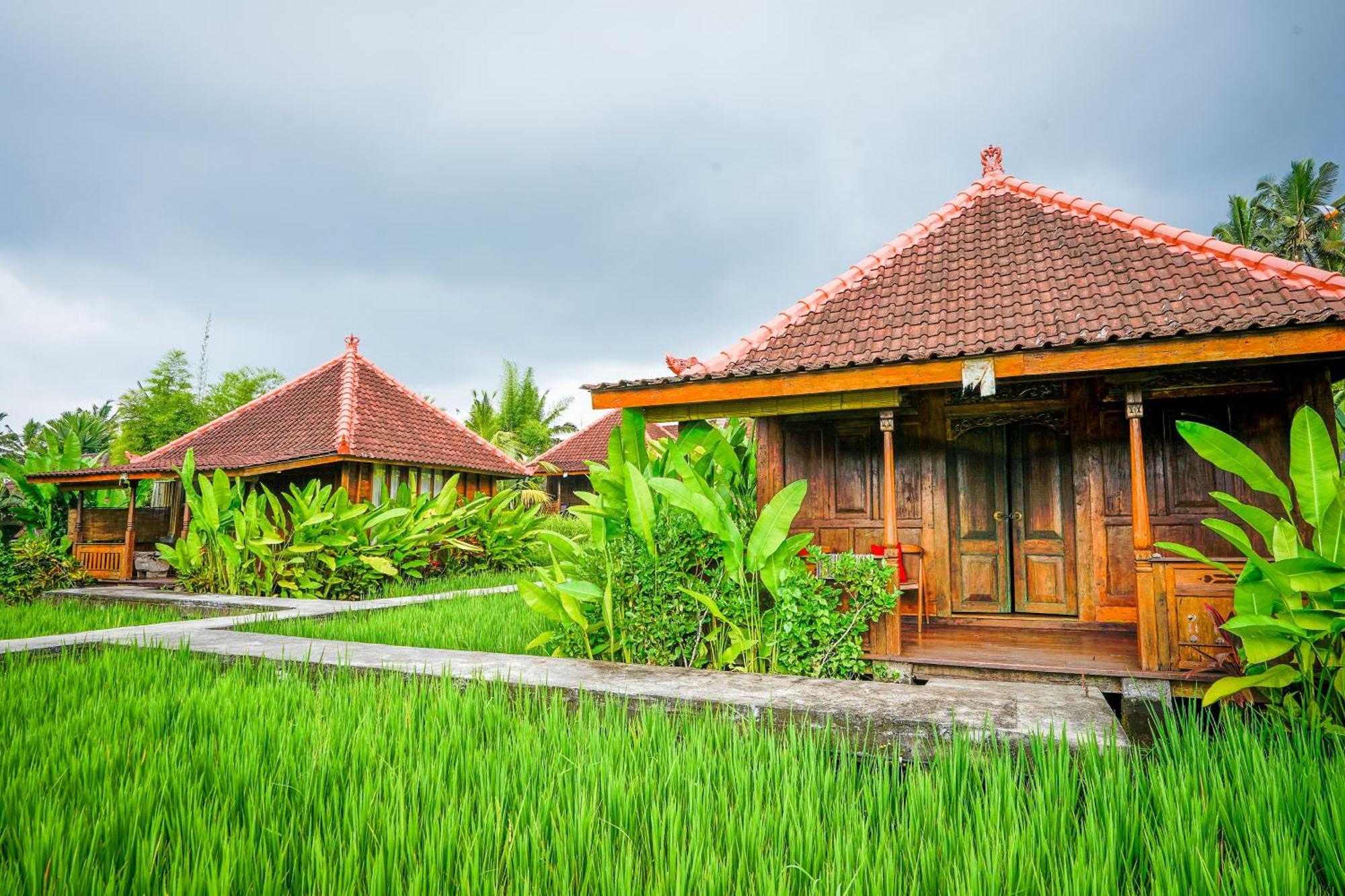 Ubud Sawah Scenery Villa And Homestay Tegallalang  Εξωτερικό φωτογραφία