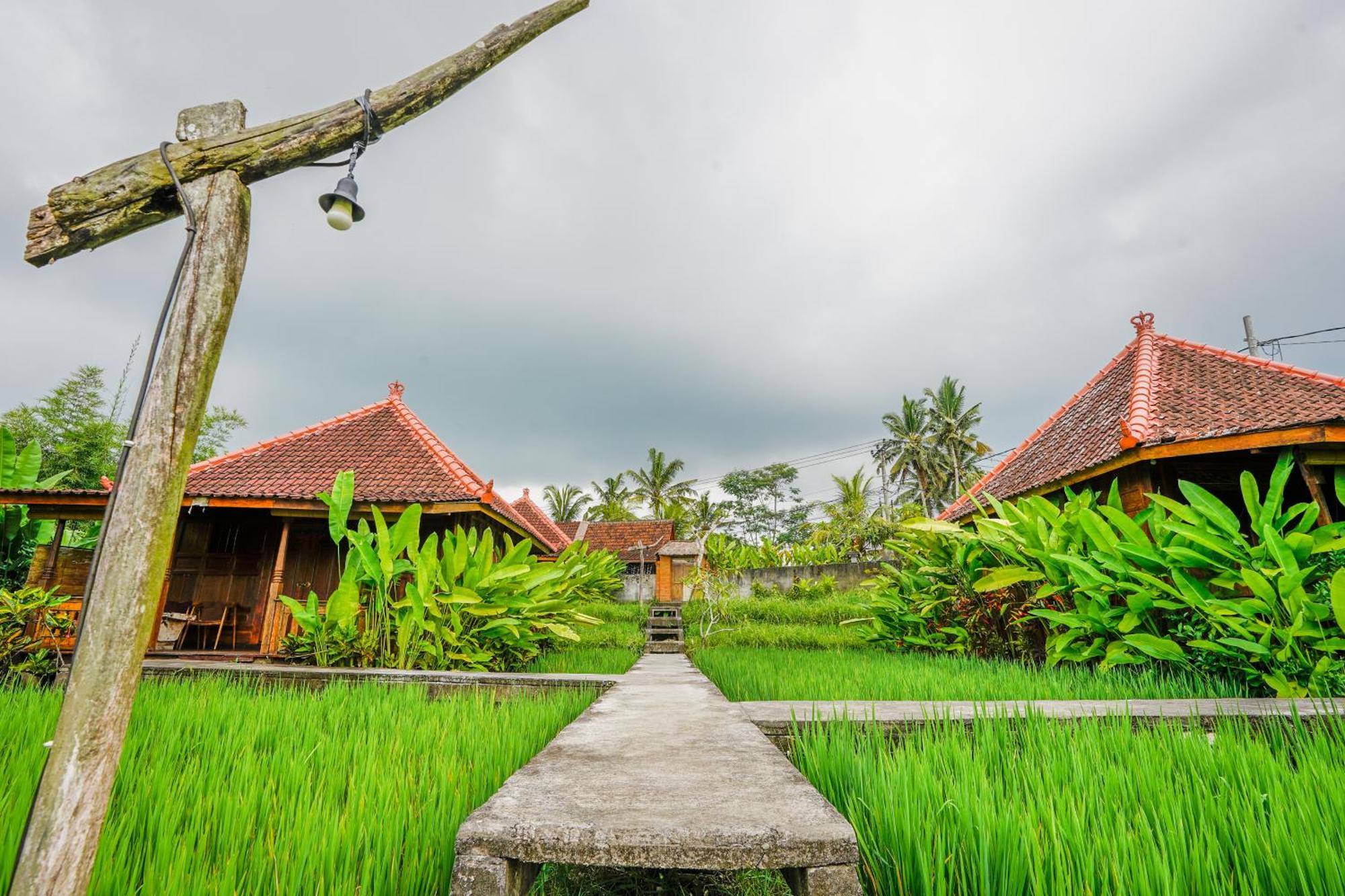 Ubud Sawah Scenery Villa And Homestay Tegallalang  Εξωτερικό φωτογραφία