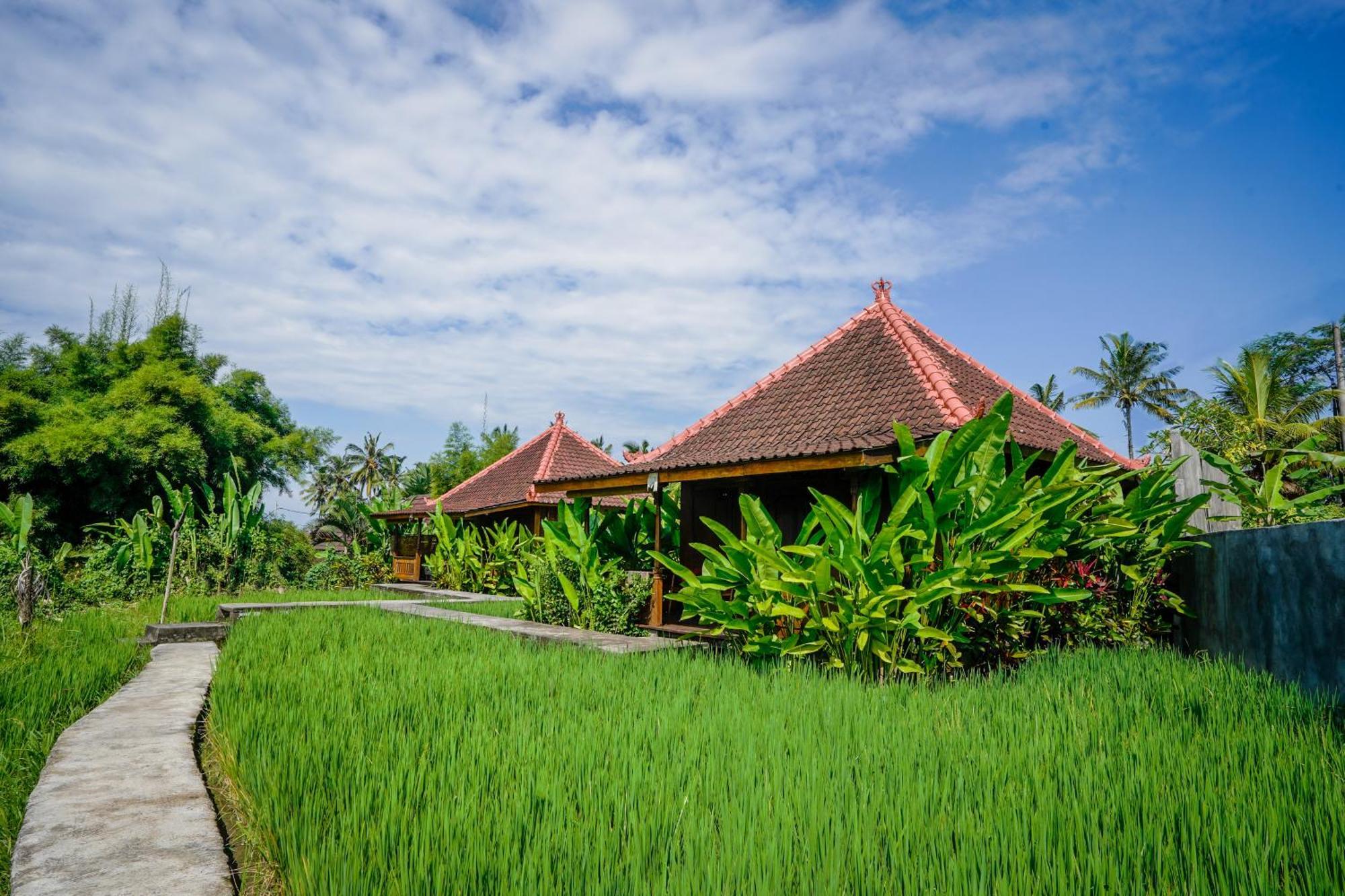 Ubud Sawah Scenery Villa And Homestay Tegallalang  Εξωτερικό φωτογραφία