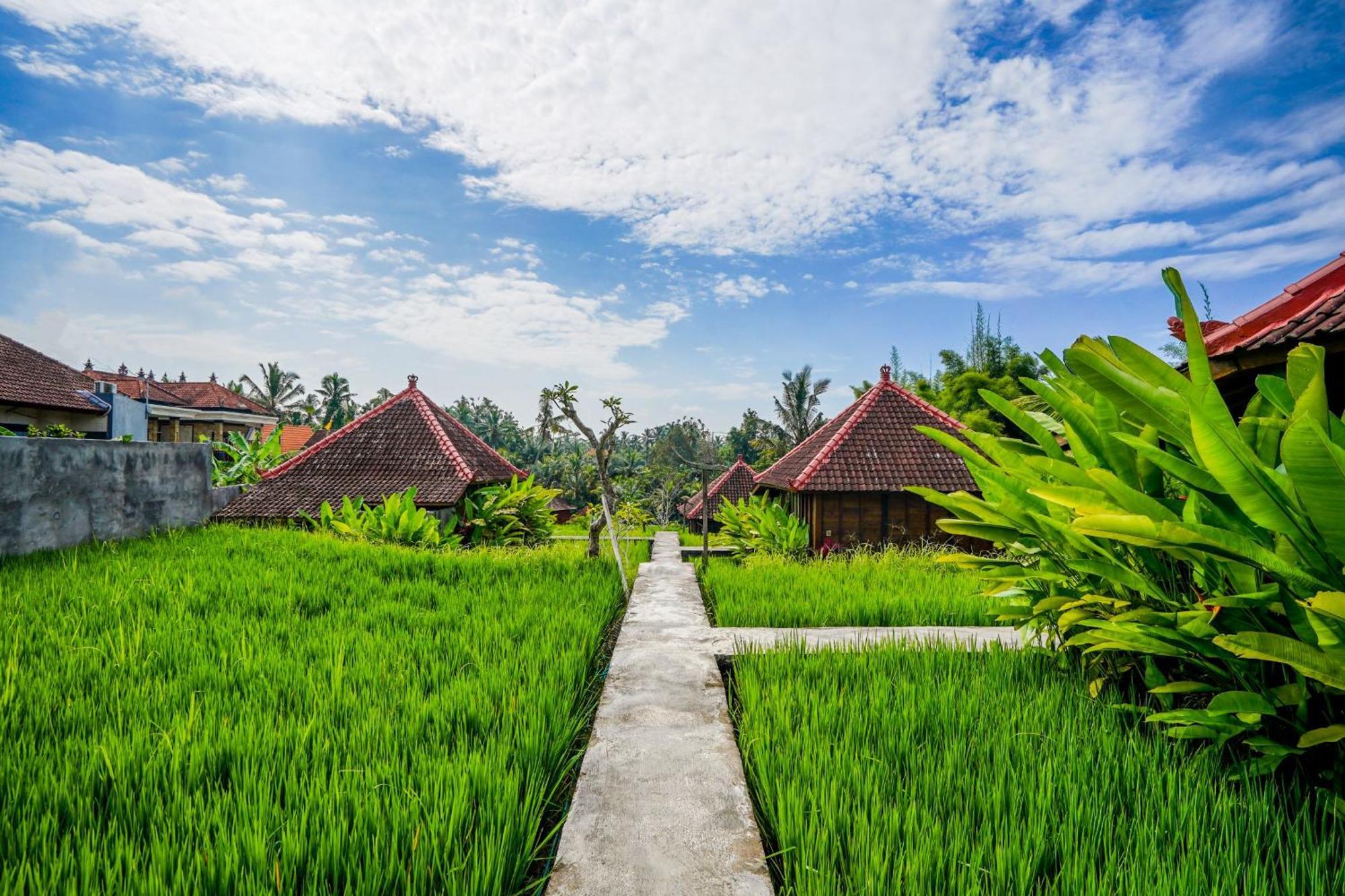 Ubud Sawah Scenery Villa And Homestay Tegallalang  Εξωτερικό φωτογραφία